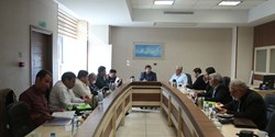 طرح تشکیل کمیته نظارت و بازرسی و کمیته ارزیابی شورای عالی استان‌ها تصویب شد