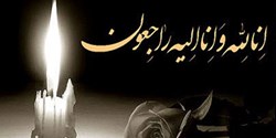 پیام تسلیت نمایندگان استان فارس در شورای عالی استان‌ها در پی وقوع حادثه دلخراش جان‌باختن جمعی از کارکنان دانشگاه علوم پزشکی فسا
