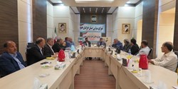 دیدار رئیس و اعضای شورای اسلامی استان با مدیرکل بنیاد مسکن انقلاب اسلامی خراسان جنوبی 
