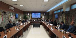 طرح دستورالعمل نحوه اداره امور شوراهای اسلامی شهر را تصویب شد