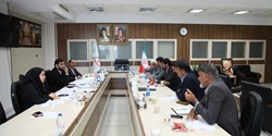 تصویب سه طرح در کمیسیون معماری و شهرسازی شورای عالی استان‌ها