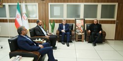 آماده همکاری با شورای عالی استان ها در همه زمینه های مرتبط هستیم