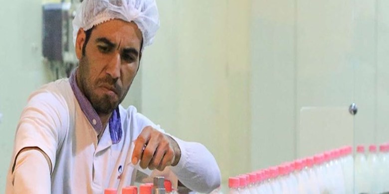 مخالفت دامداران با تصمیم دولت برای افزایش قیمت شیرخام/ افزایش 70 درصدی قیمت لبنیات مبنا ندارد